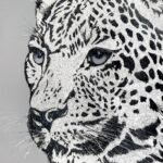 silver leo